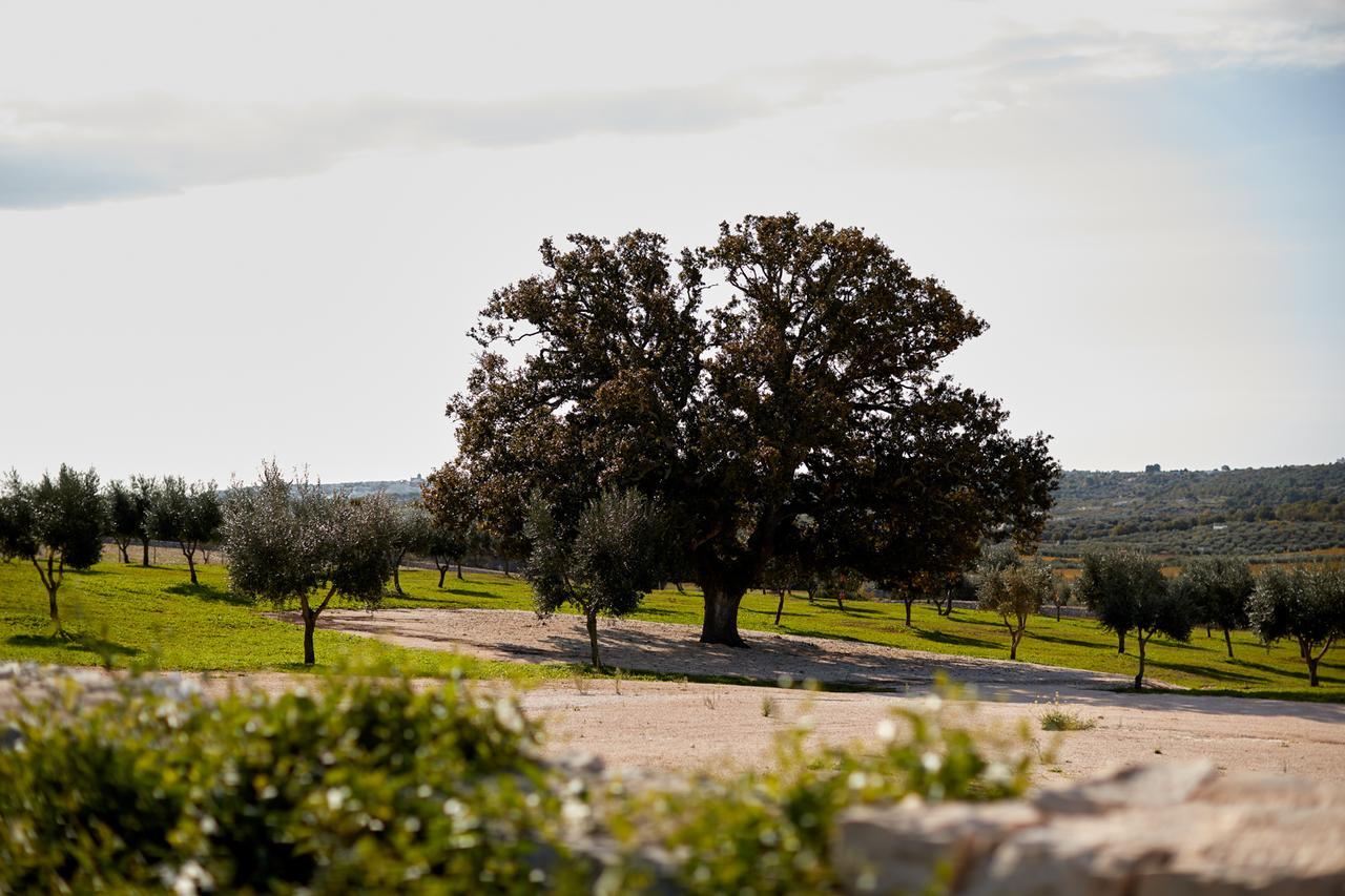 Masseria Grieco Ostuni Exterior foto